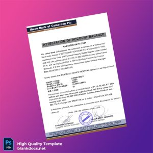 Cameroon Union Bank of Cameroon Plc Bank Statement Template in Word and PDF formats