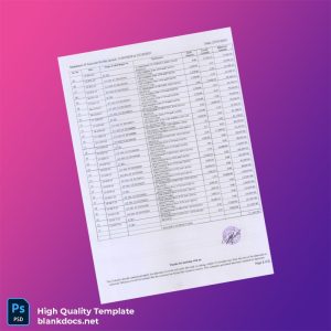 Country_ Bank_Issuer_ IC Document Type_ Bank Statement Editable Bank Statement Template in Word and PDF formats