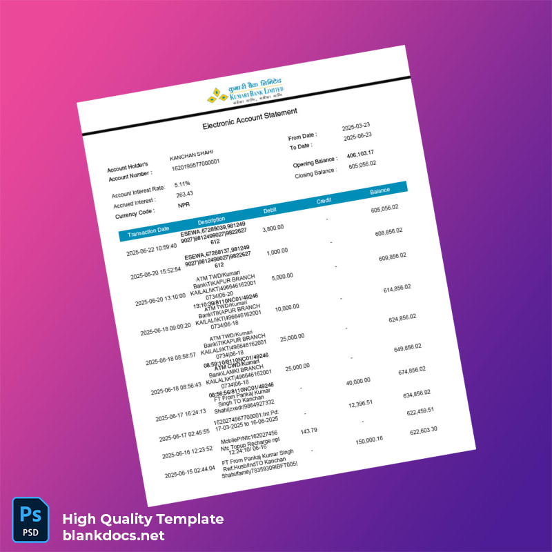 India Electronic Account Statement Template in Word and PDF formats