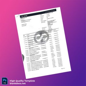 India Kotak Mahindra Bank Statement Template in Word and PDF formats