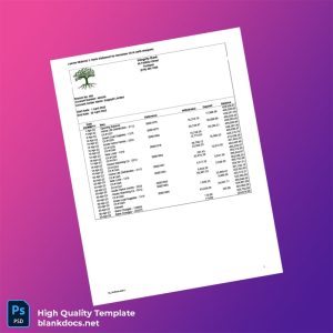 Nigeria Integrity Bank Bank Statement Template in Word and PDF formats