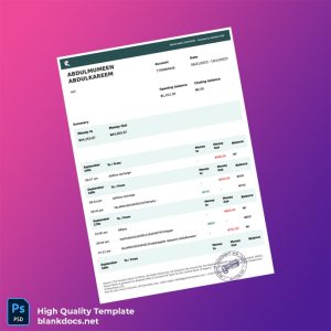 Nigeria Raven Bank Statement Template in Word and PDF formats