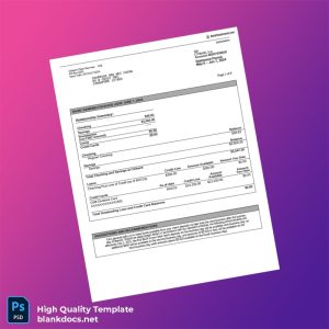 Singapore Citibank Account Statement Template in Word and PDF formats