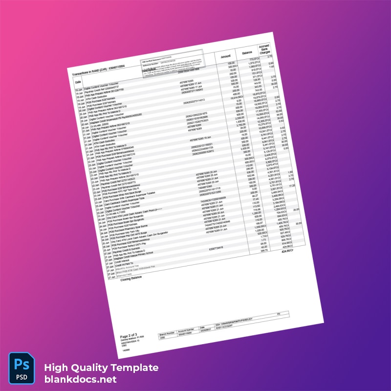 South Africa Easy Account Bank Statement Template in Word and PDF formats page 2