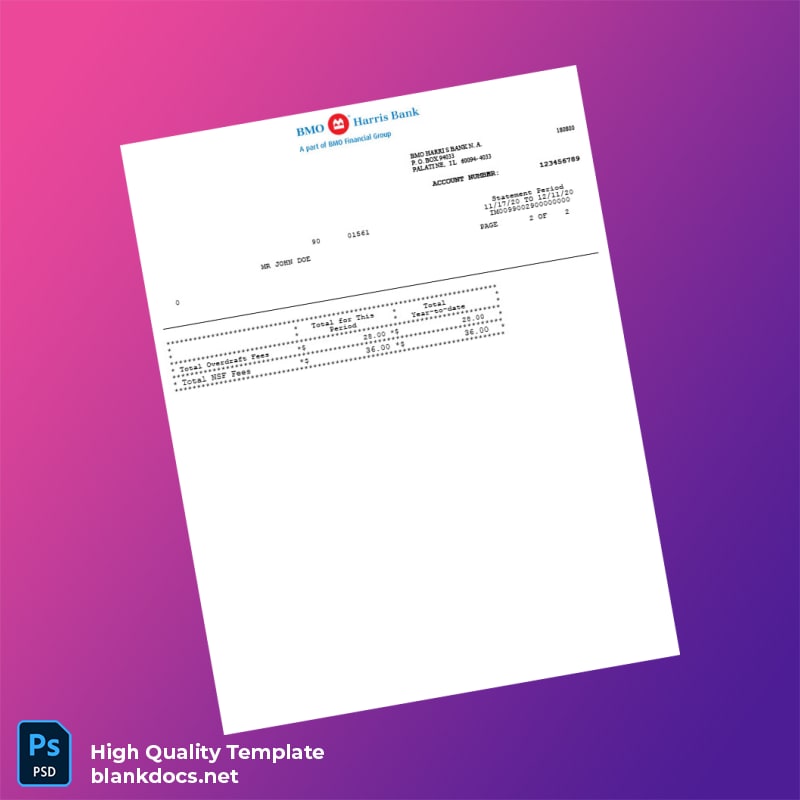USA BMO Harris Bank Statement Template in Word and PDF formats page 2