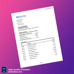 USA Bluevine Bank Statement Template in Word and PDF formats