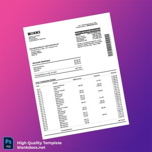 USA Choice Bank Bank Statement Template in Word and PDF formats