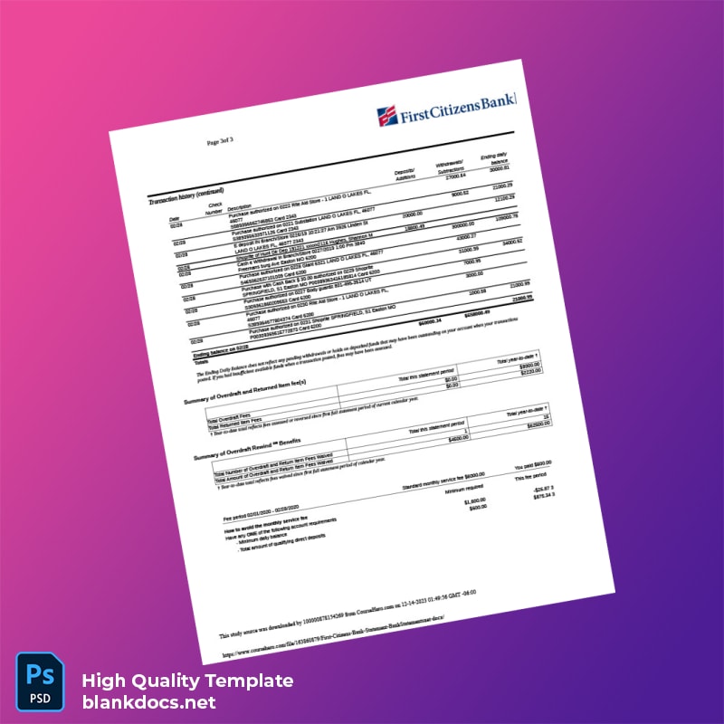 USA First Citizens Bank Statement Template in Word and PDF formats page 3