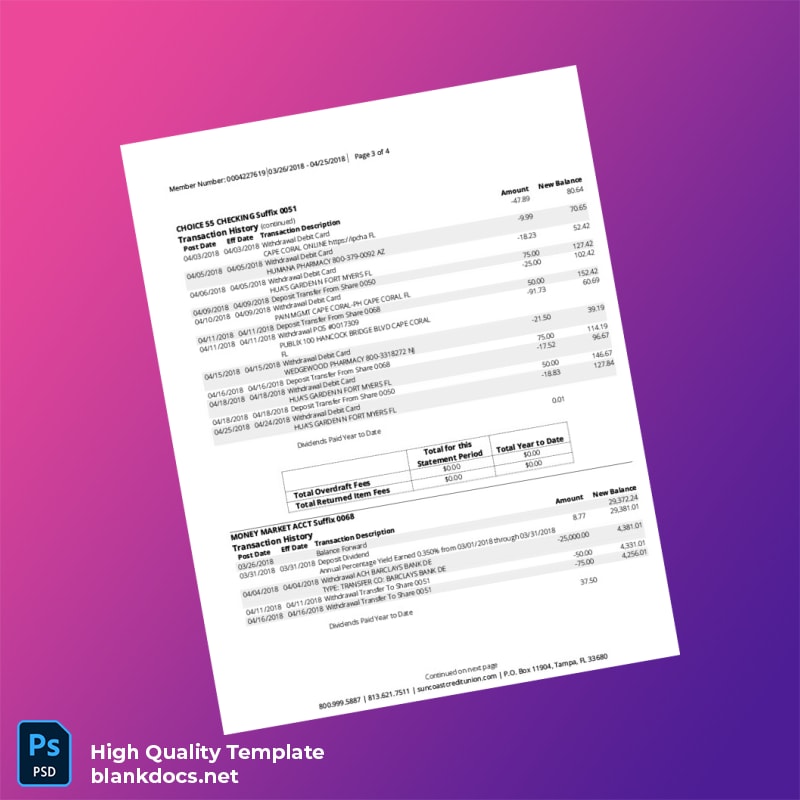 USA Suncoast Bank Statement Template in Word and PDF formats page 3
