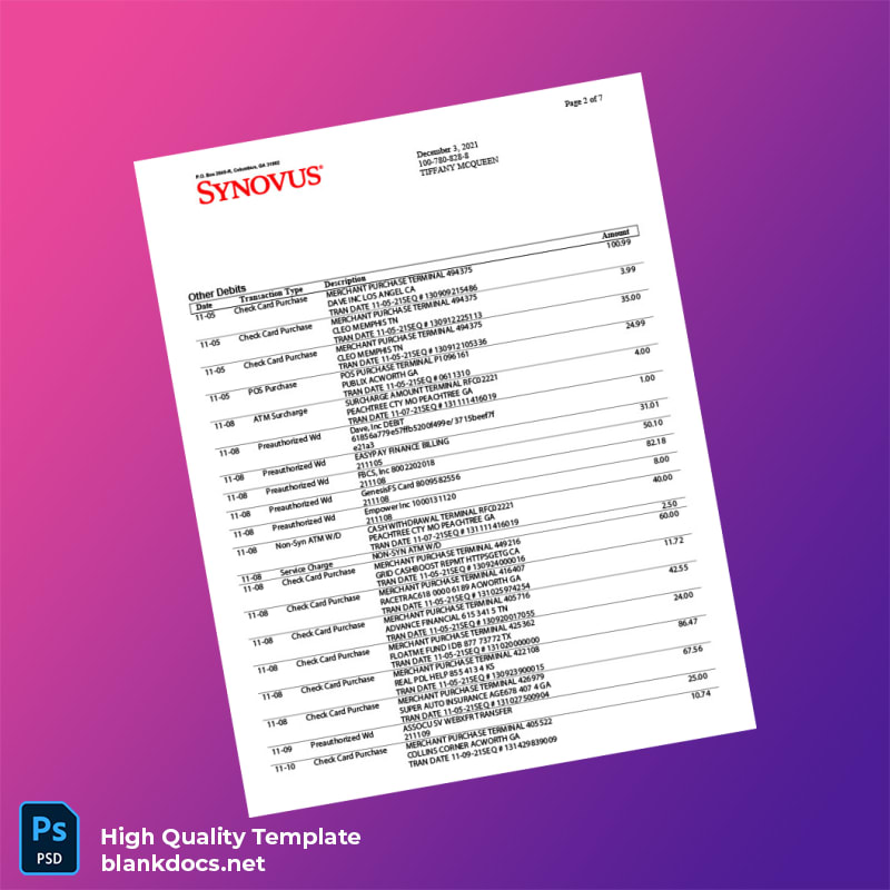 USA Synovus Bank Statement Template in Word and PDF formats page 2