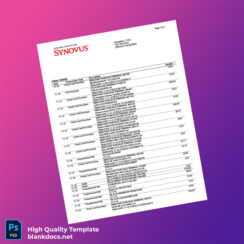 USA Synovus Bank Statement Template in Word and PDF formats page 3