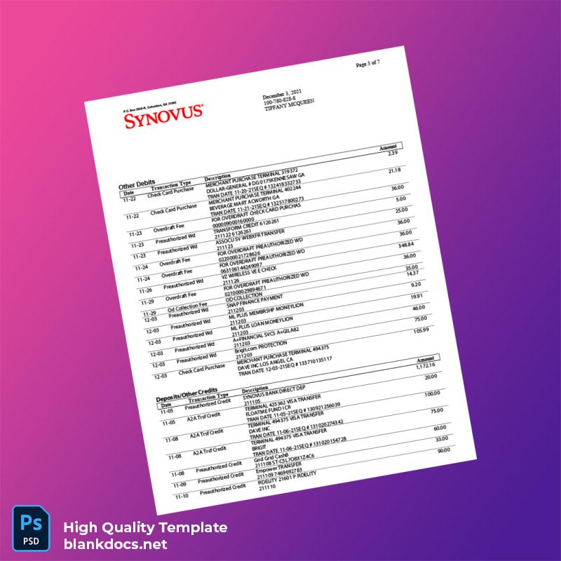 USA Synovus Bank Statement Template in Word and PDF formats page 5