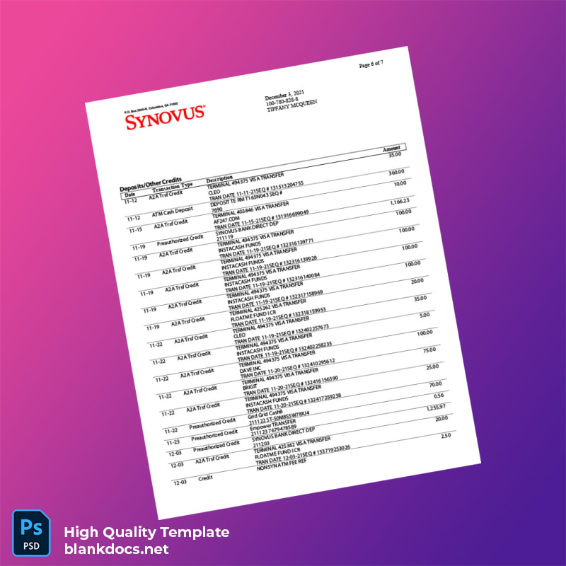 USA Synovus Bank Statement Template in Word and PDF formats page 6