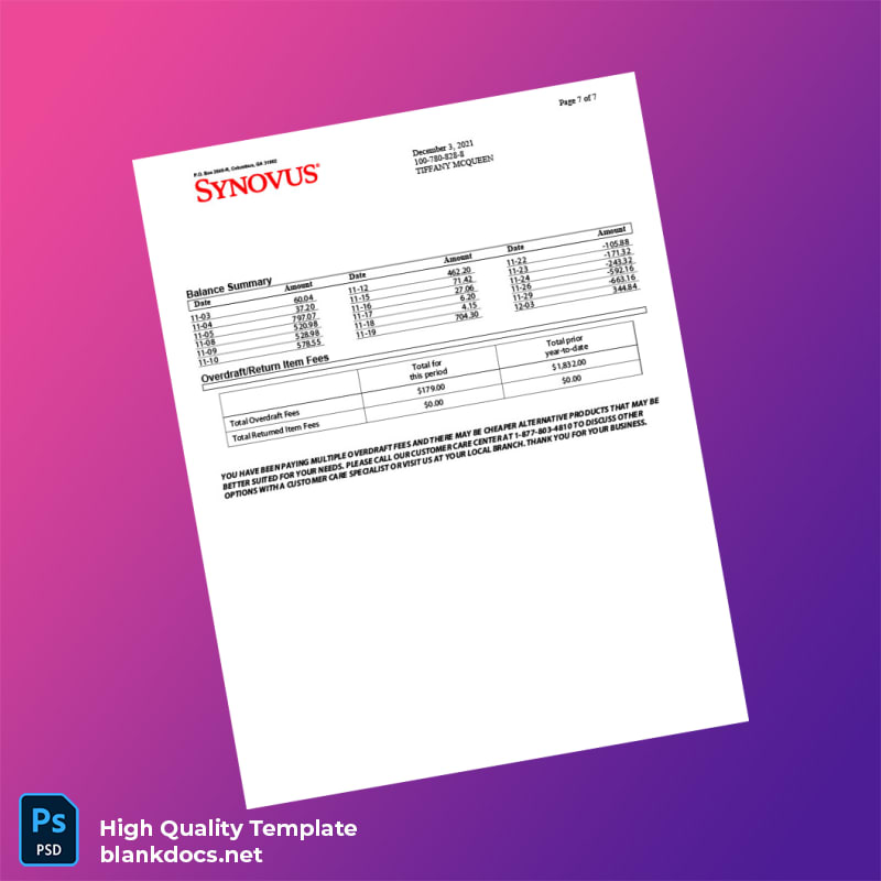 USA Synovus Bank Statement Template in Word and PDF formats page 7