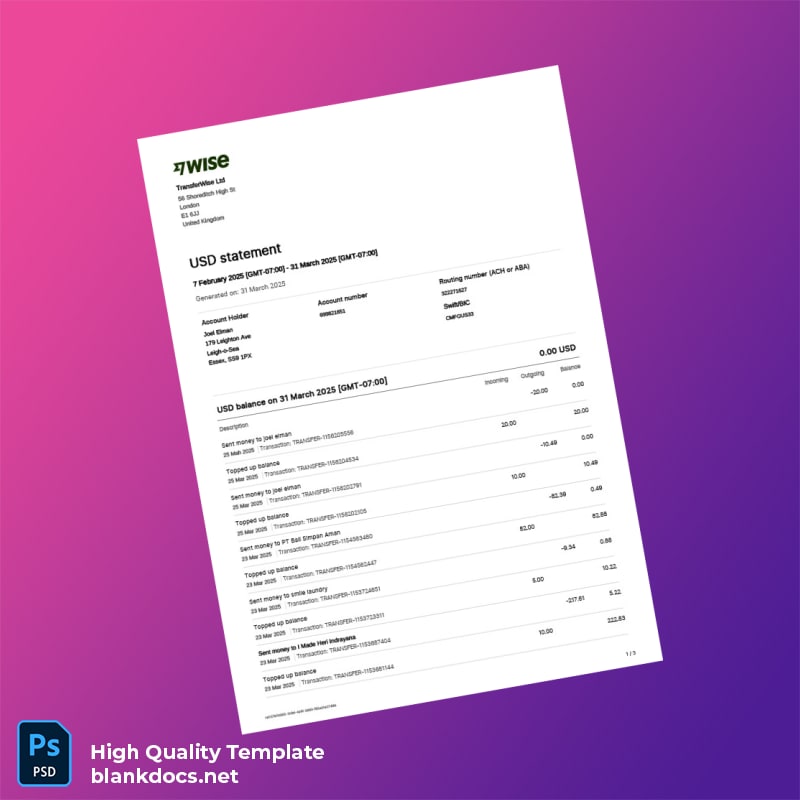 USA TransferWise Ltd Bank Statement Template in Word and PDF formats