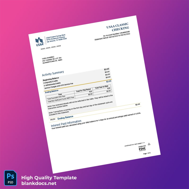 USA USAA Bank Statement Template in Word and PDF formats