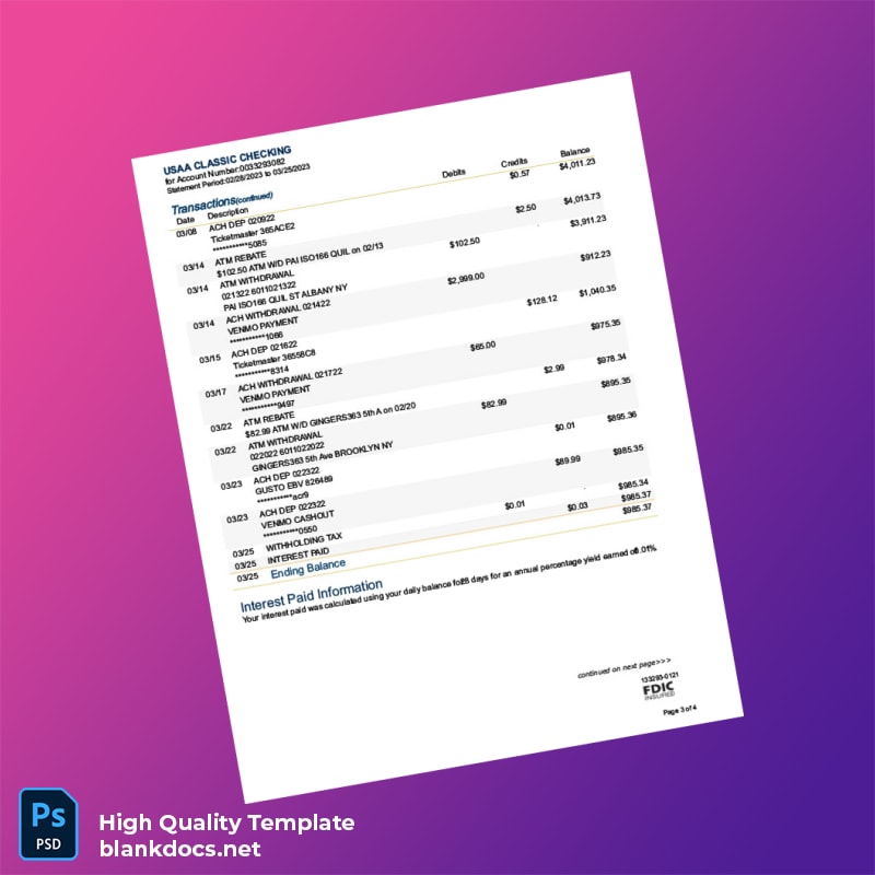 USA USAA Federal Savings Bank Account Statement Template in Word and PDF formats page 3