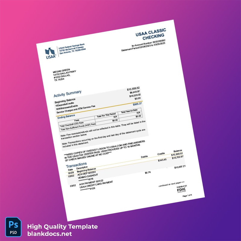 USA USAA Federal Savings Bank Account Statement Template in Word and PDF formats